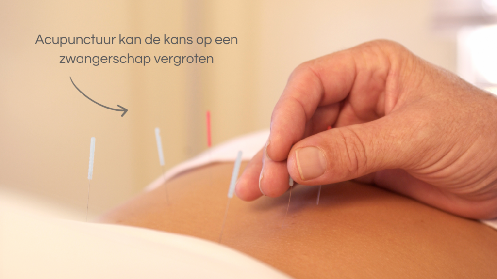 acupunctuur en zwanger worden